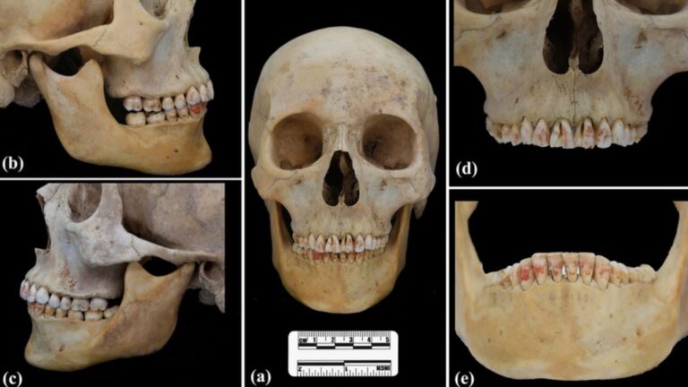 2200 year old chinese burial uncovers woman with toxic red stained teeth
