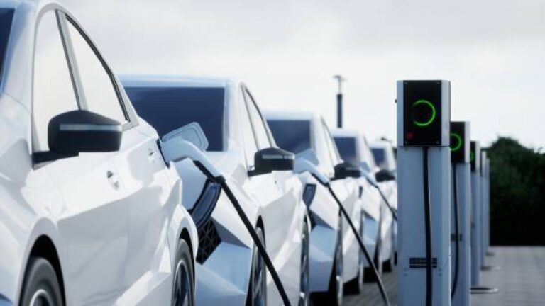 China Restrictions Supply of Rare Earth Magnets Setback for Indian Ev Makers